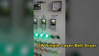Máy sấy đai một lớp DW