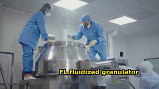 Máy tạo hạt FL