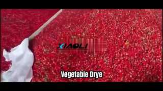 Máy sấy đai DW