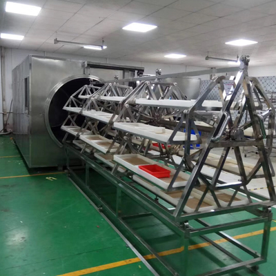 Máy sấy chân không vi sóng WKS 9,6kg / H đến 12kg / H Máy khử nước chế biến thực phẩm