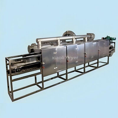 Máy sấy băng tải một lớp tiết kiệm năng lượng để sấy lát thảo dược