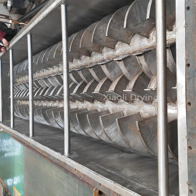 chế biến thực phẩm máy sấy mái chèo rỗng Thiết bị công nghiệp hiệu quả cao