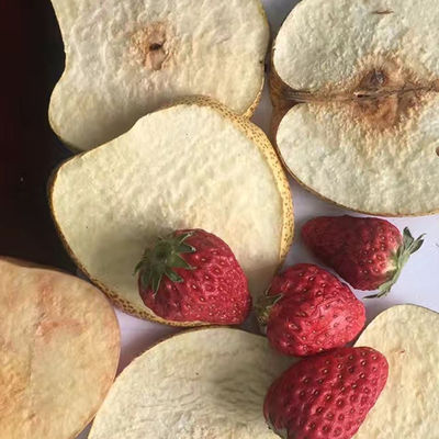 Sữa chua Dâu tây Mít Máy sấy đông lạnh chân không PLC Máy sấy khoai tây chiên