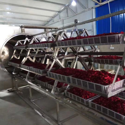 38,4-48kg / H Lò vi sóng khử nước chân không Lò sấy hoa quả bằng thép không gỉ 304